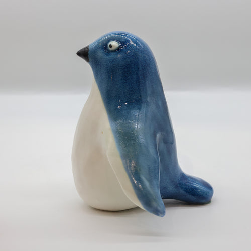 Kororā | Little Blue Penguin