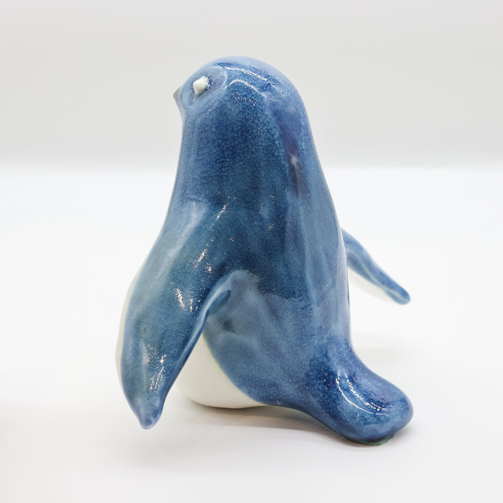Kororā | Little Blue Penguin