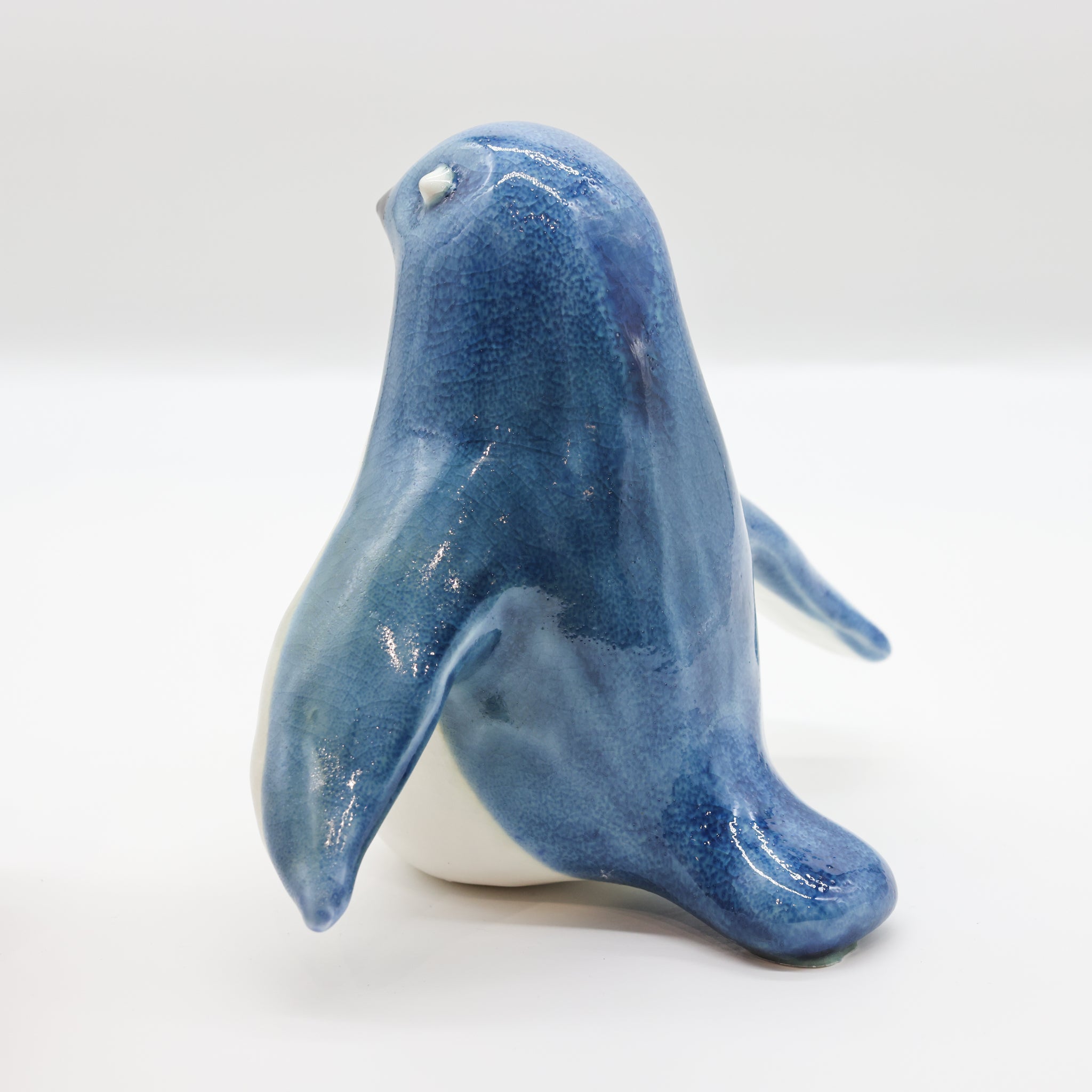 Kororā | Little Blue Penguin
