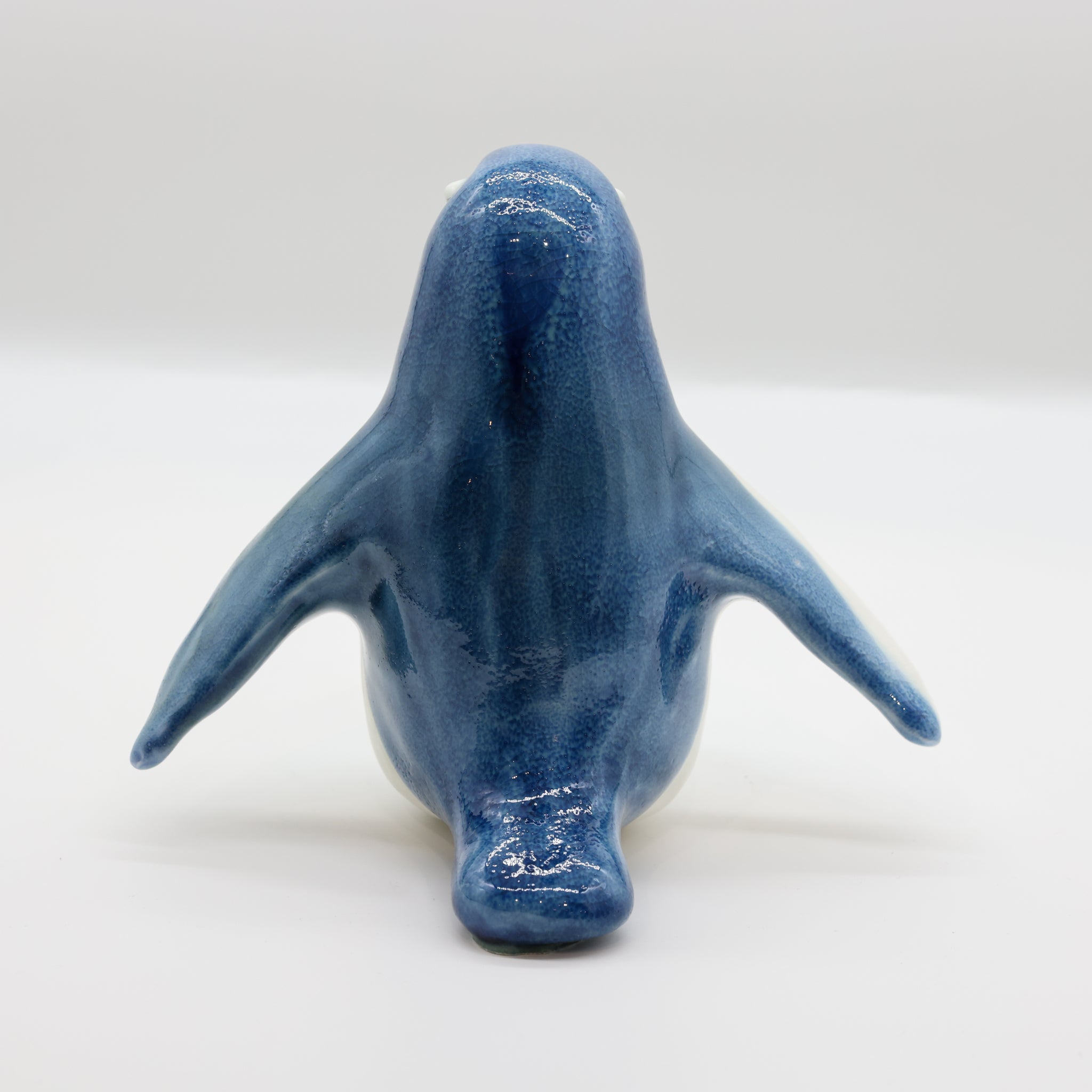 Kororā | Little Blue Penguin