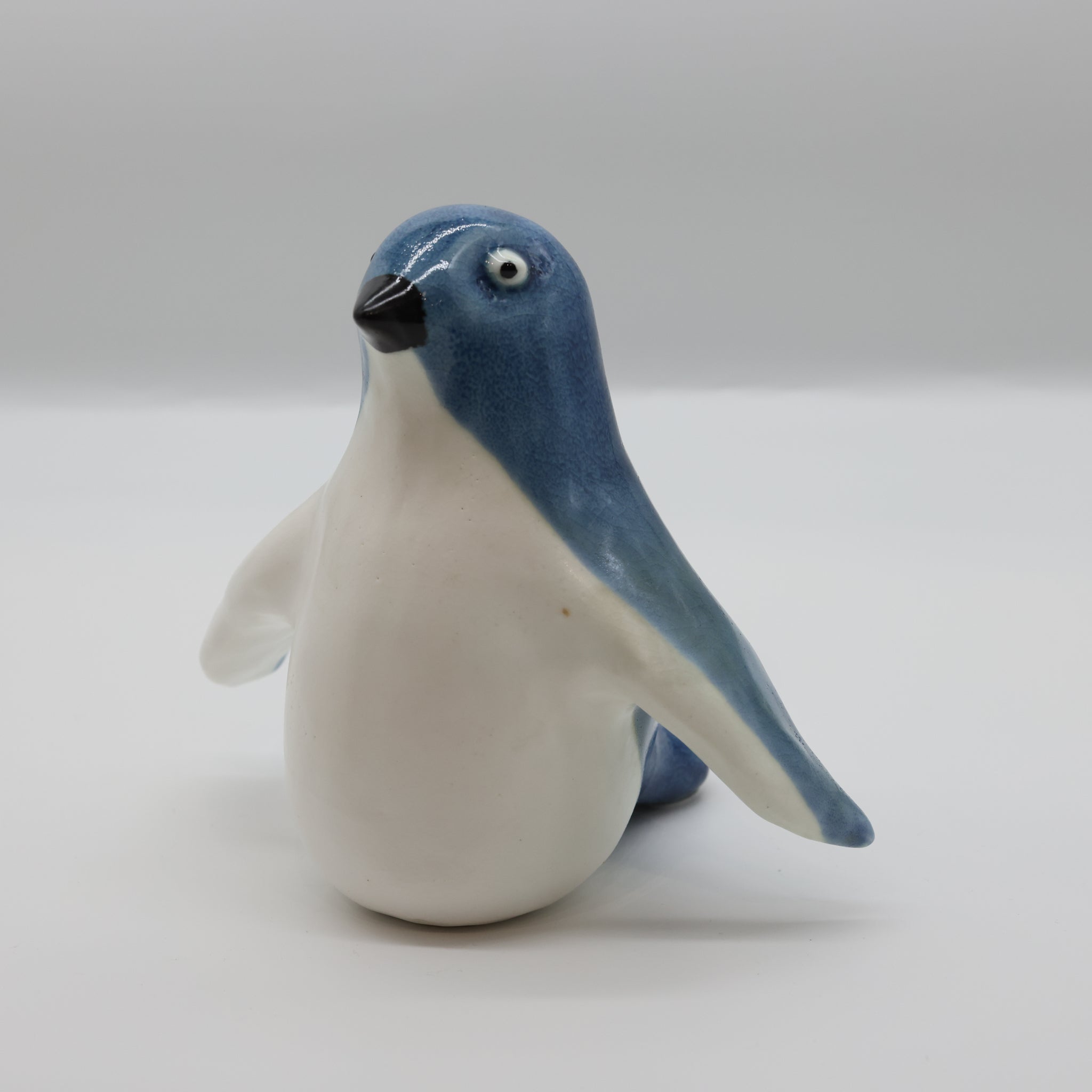 Kororā | Little Blue Penguin