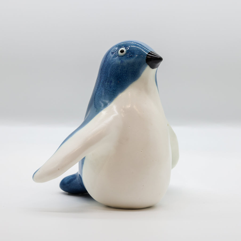 Kororā | Little Blue Penguin