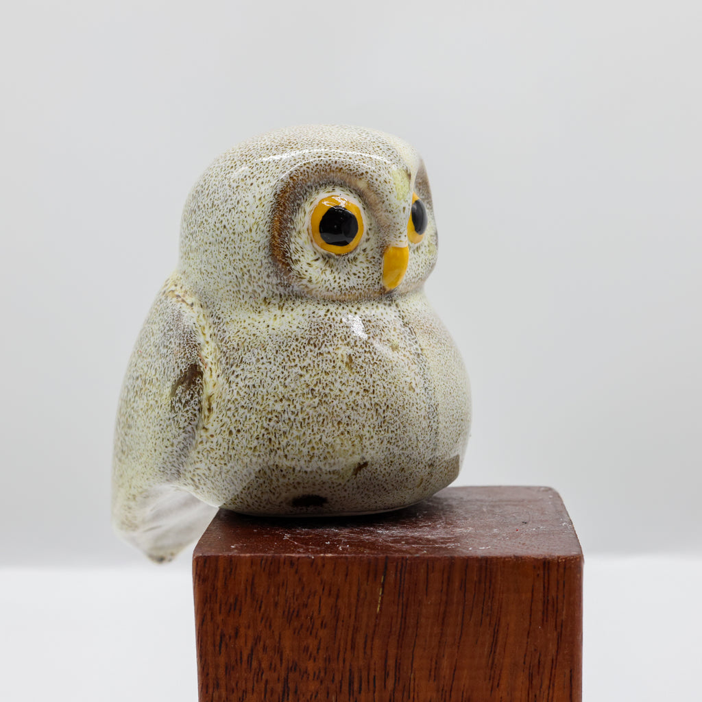 Ruru | Morepork