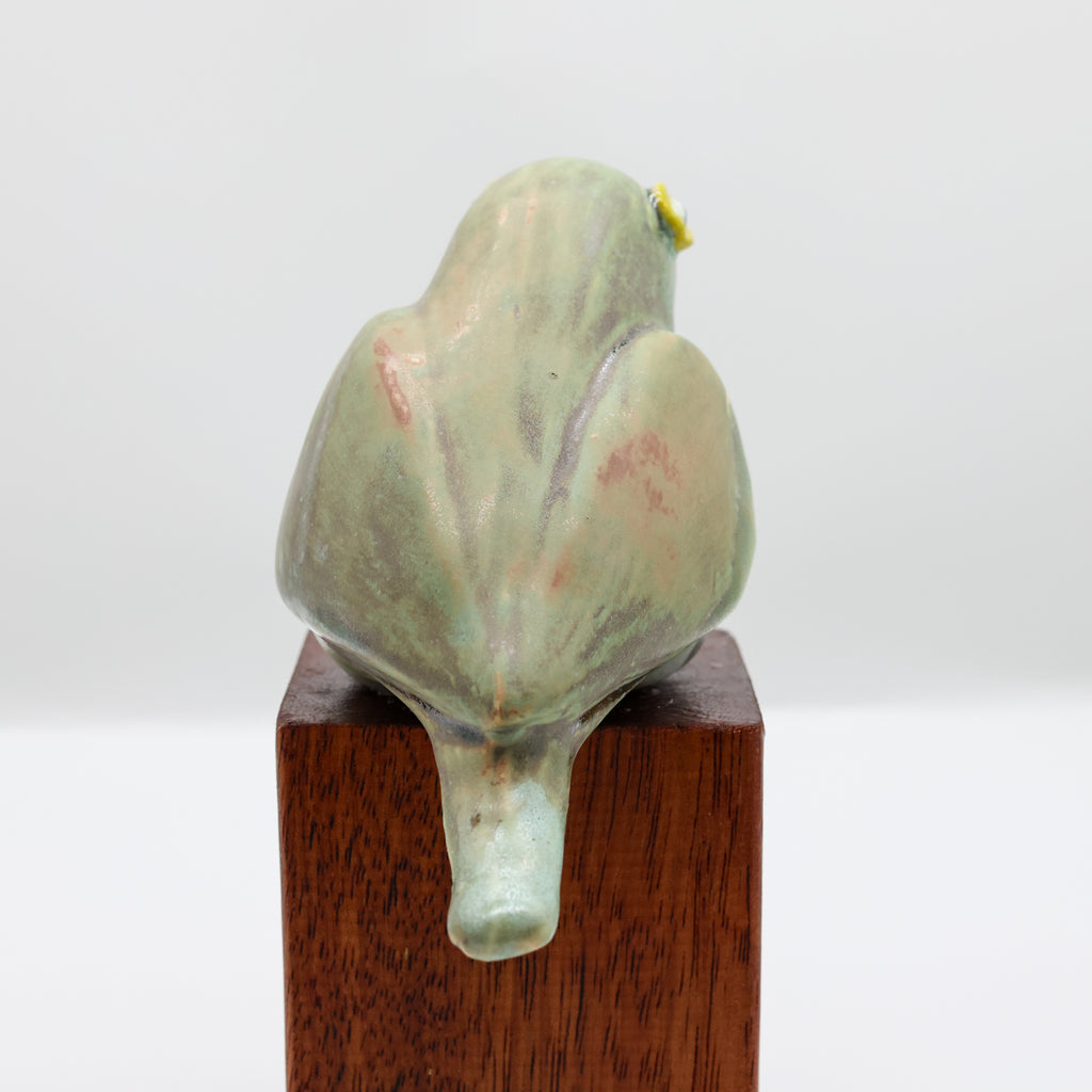 Pīpīwharauroa | Shining Cuckoo