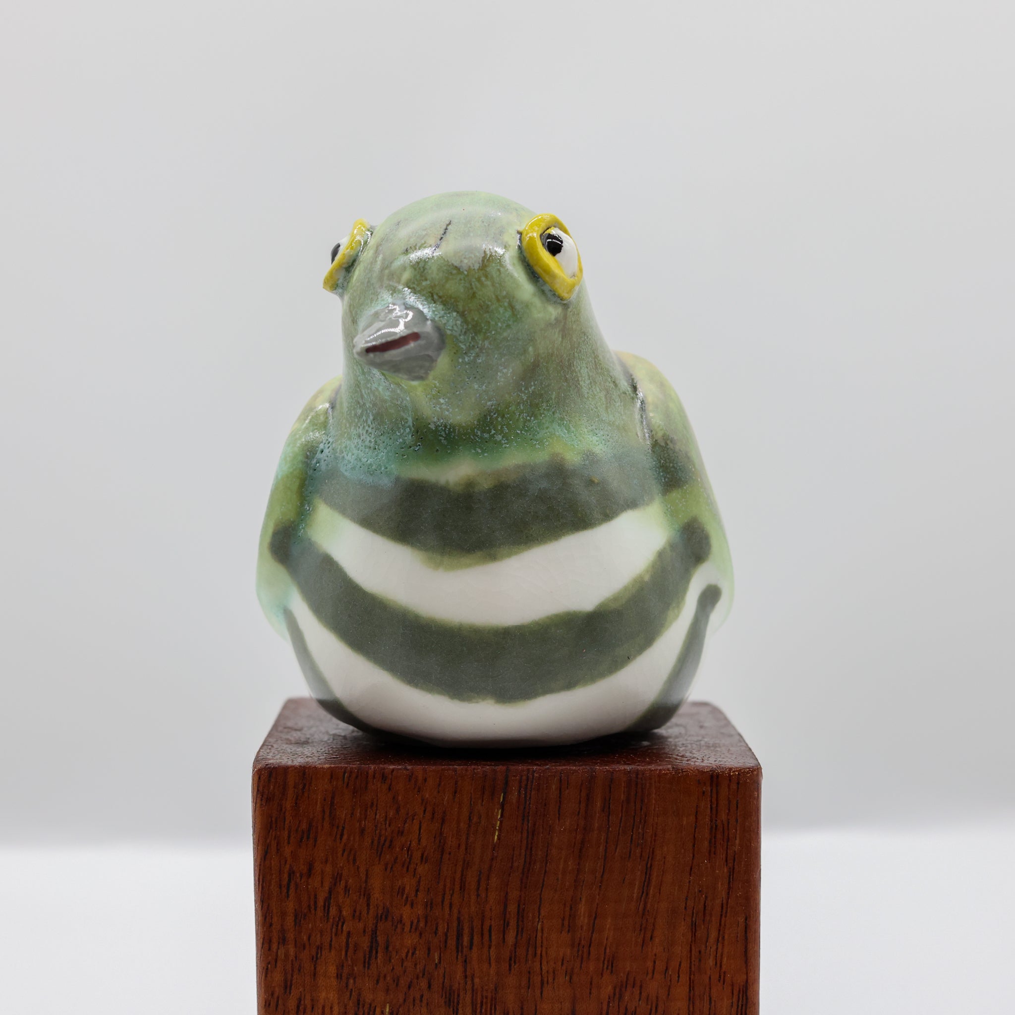 Pīpīwharauroa | Shining Cuckoo