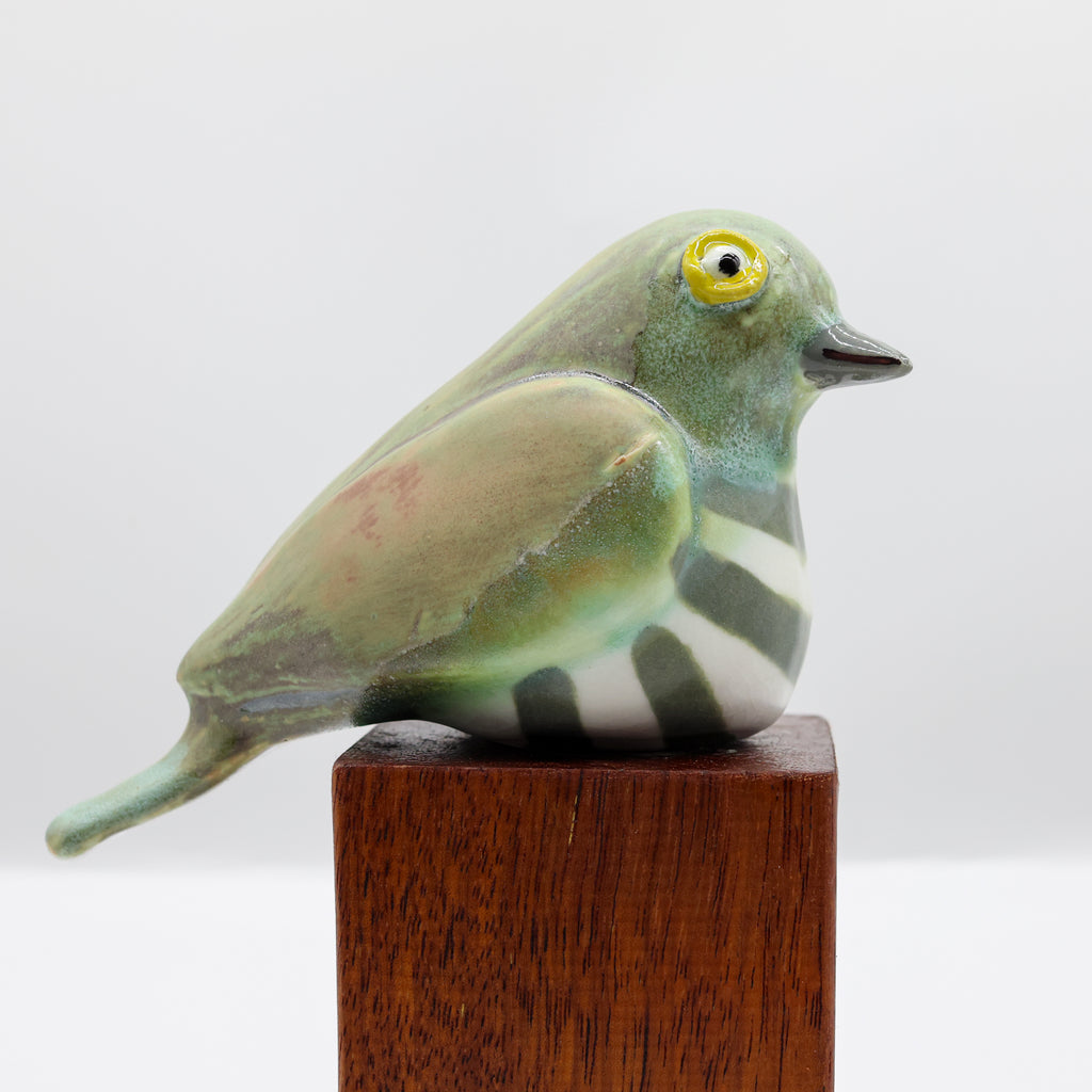 Pīpīwharauroa | Shining Cuckoo