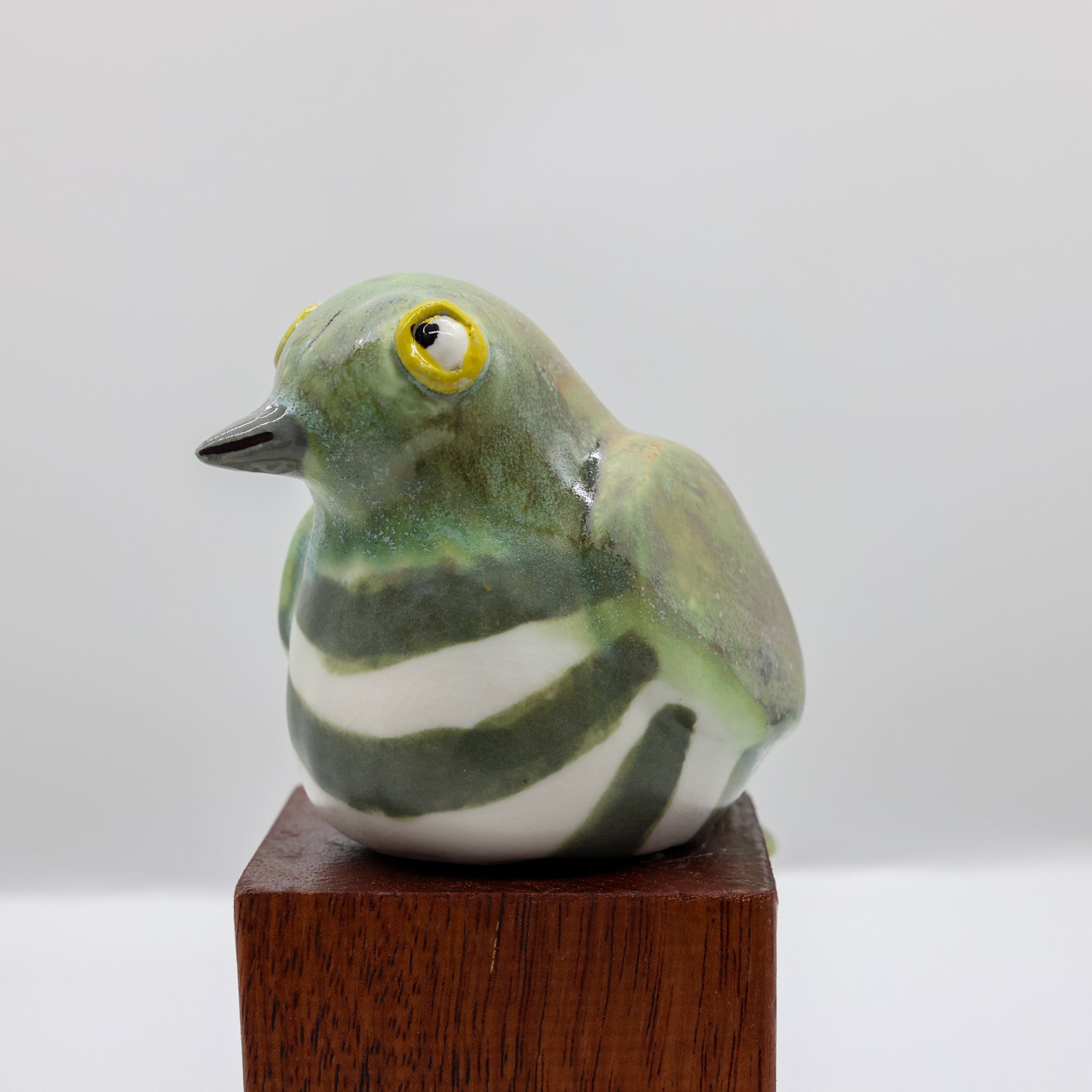 Pīpīwharauroa | Shining Cuckoo