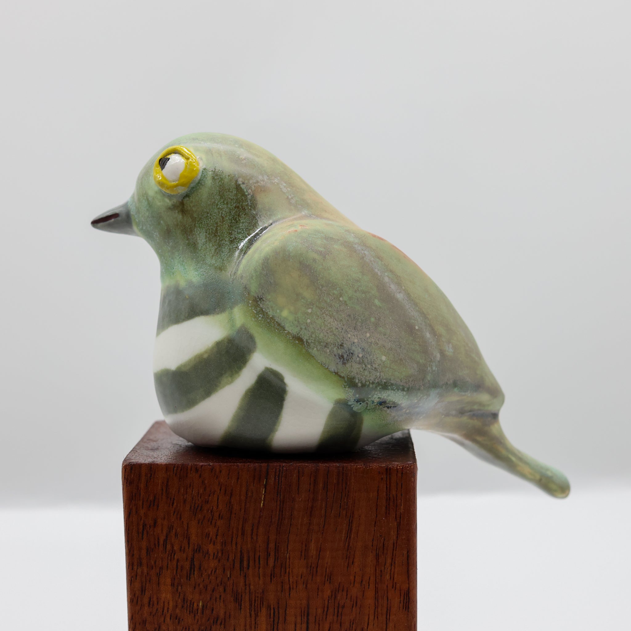 Pīpīwharauroa | Shining Cuckoo