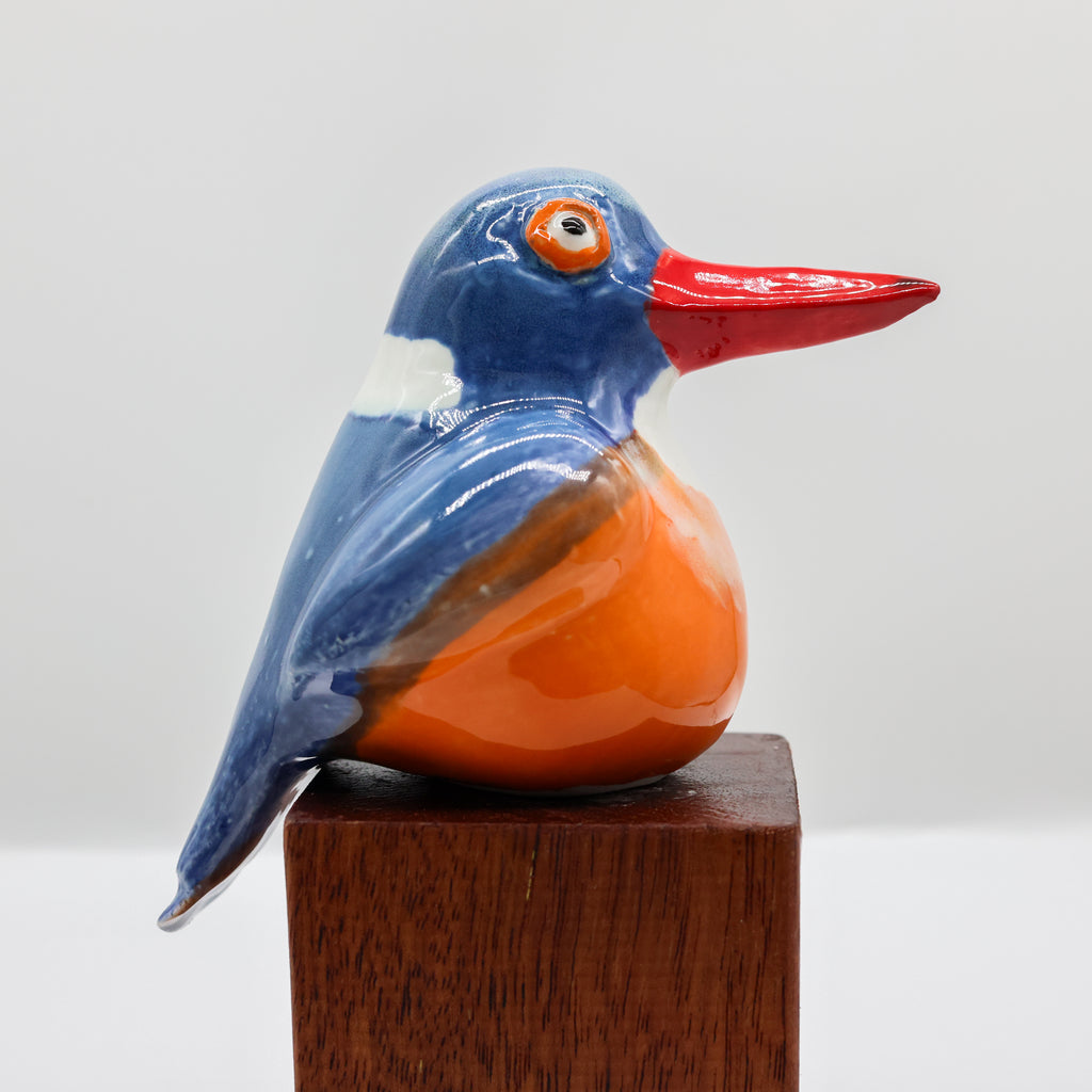 Malachite Kingfisher