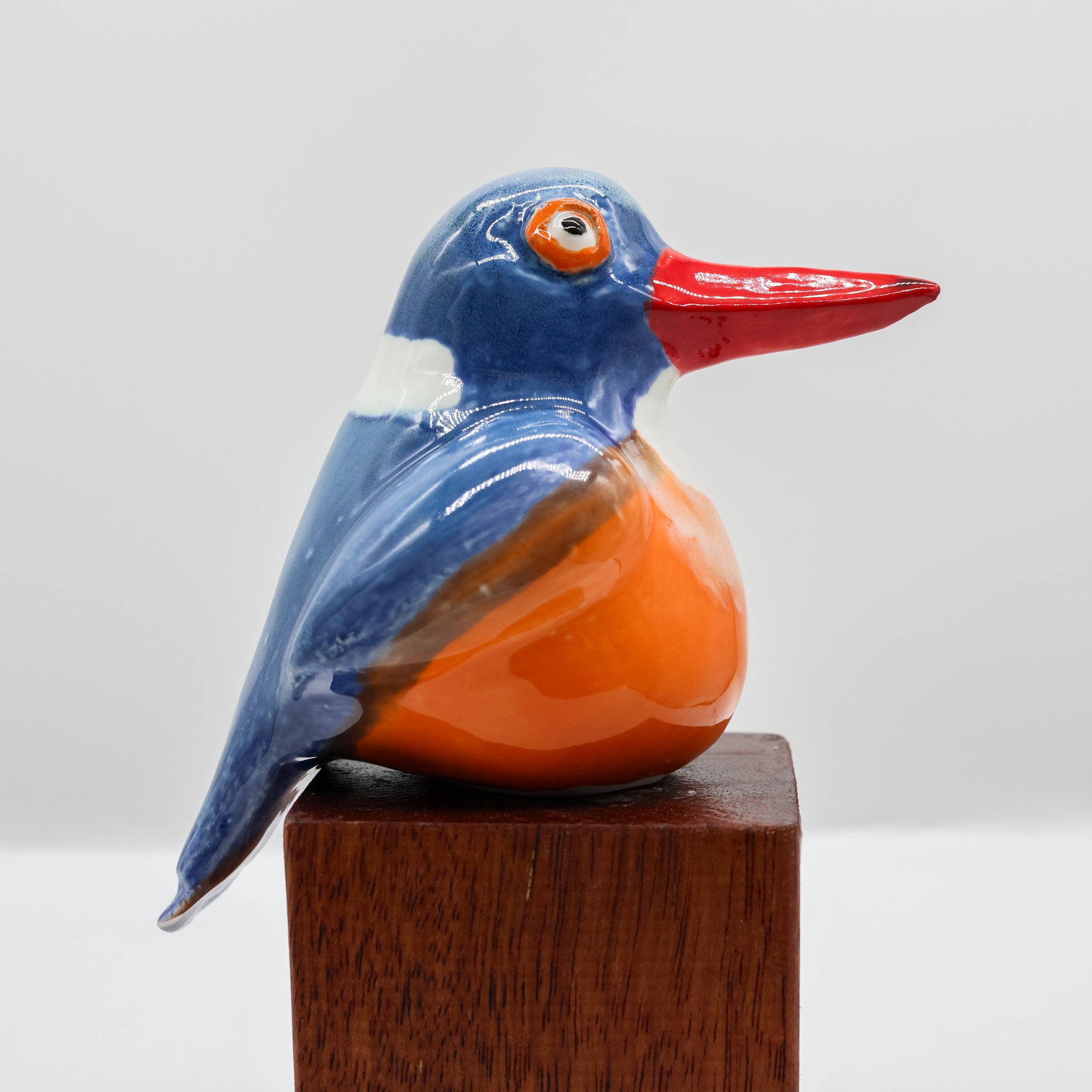 Malachite Kingfisher