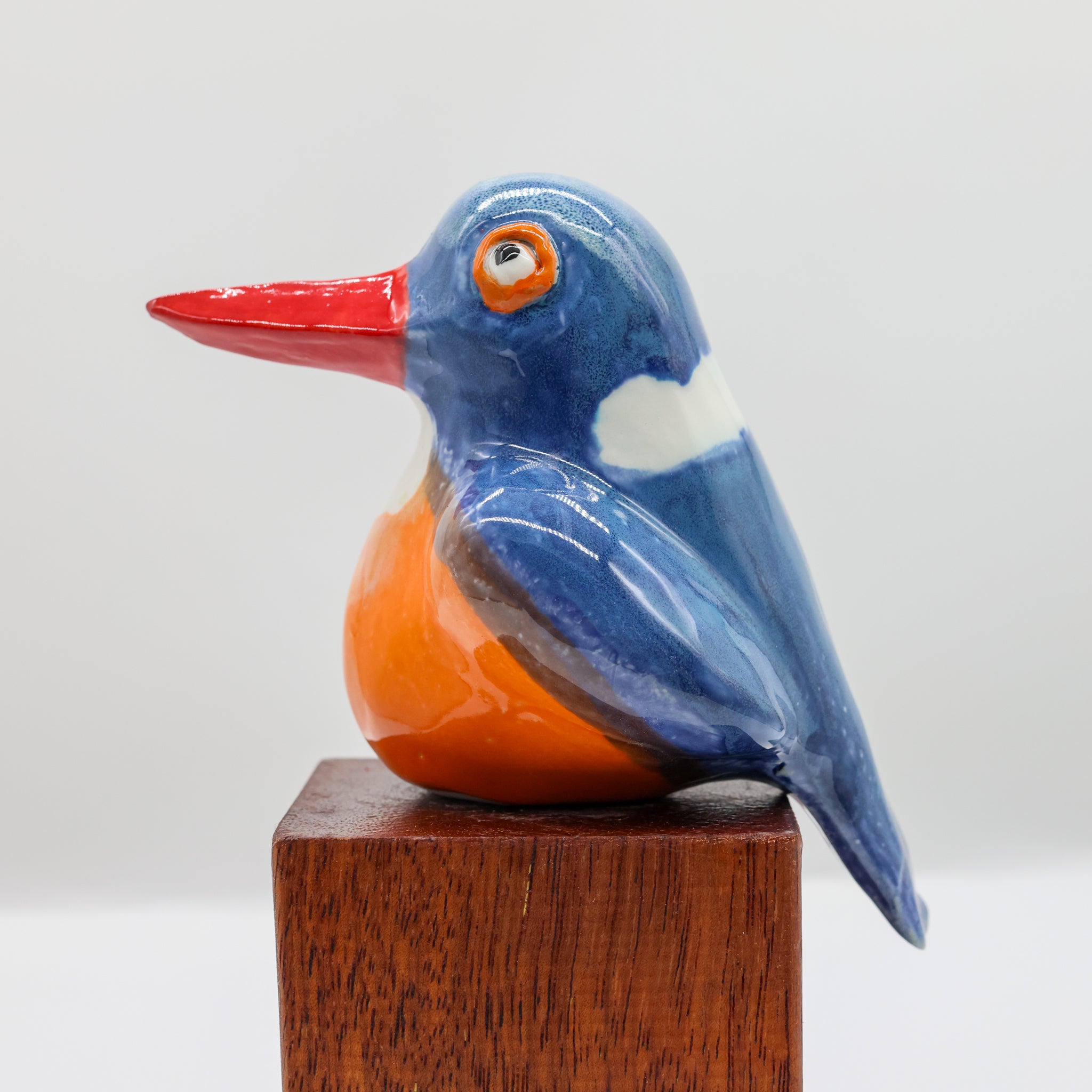 Malachite Kingfisher