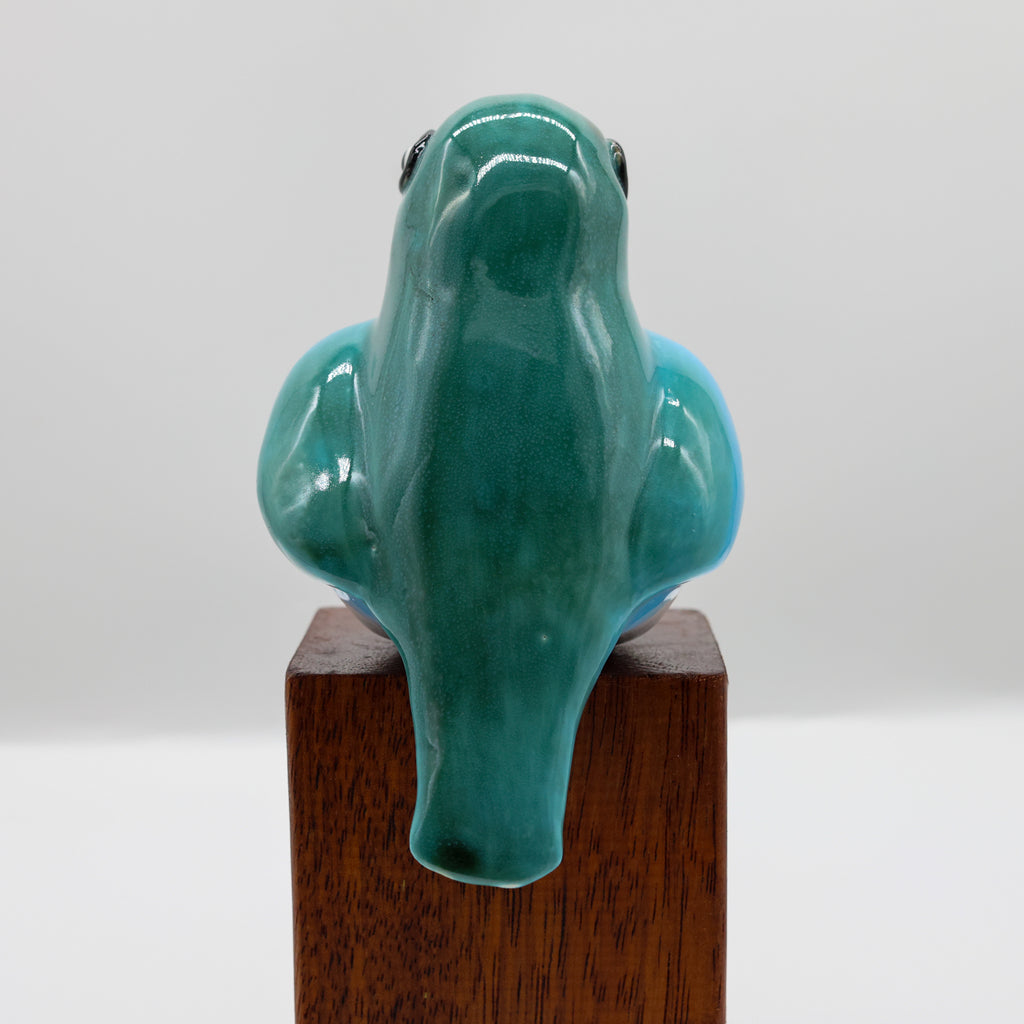 Kōtare | Kingfisher