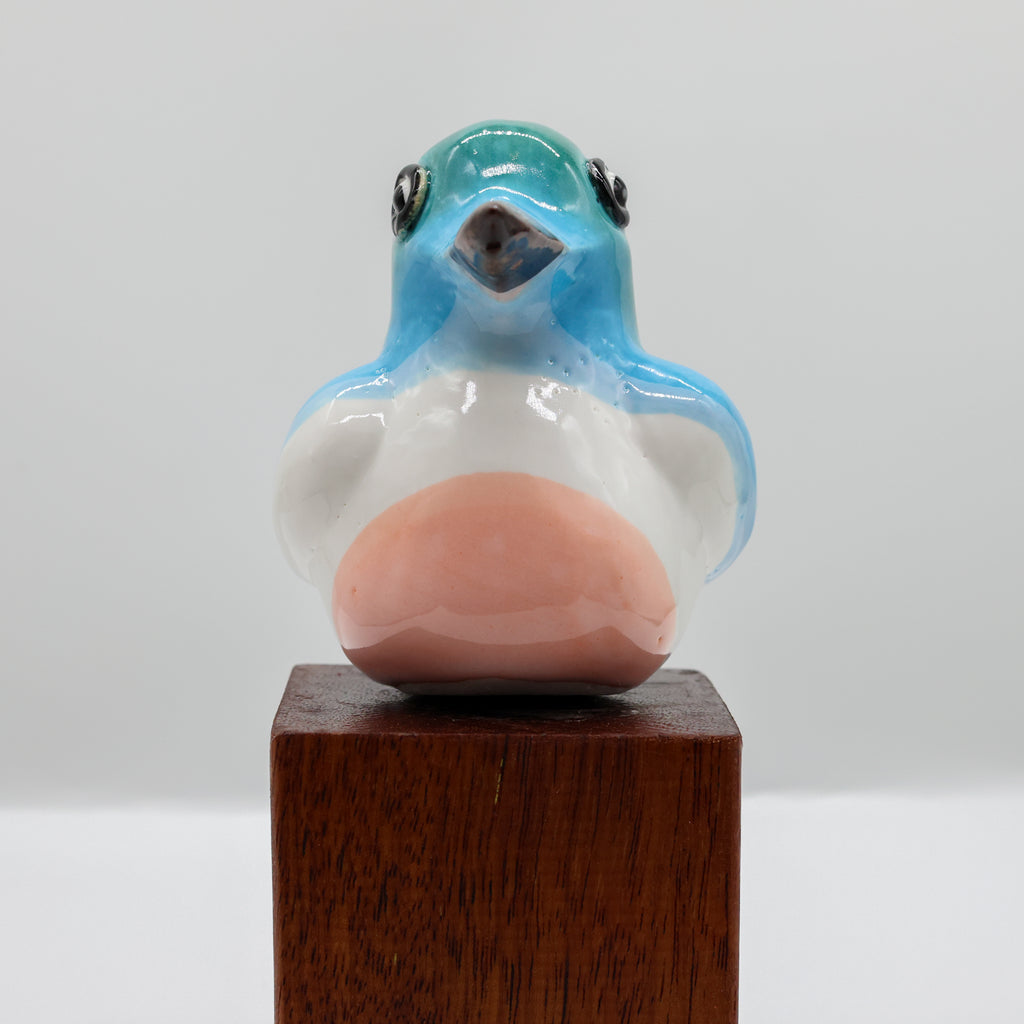 Kōtare | Kingfisher