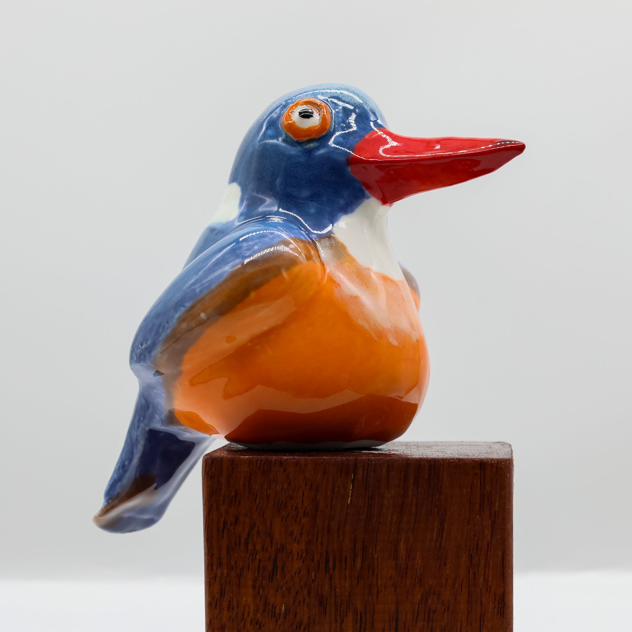 Malachite Kingfisher