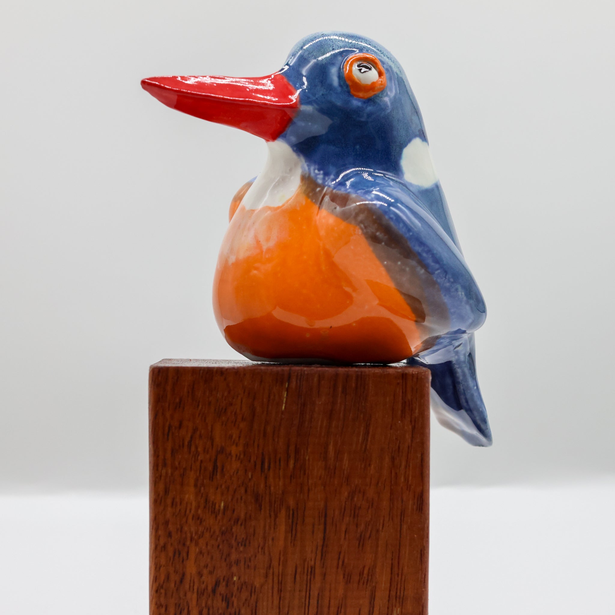 Malachite Kingfisher