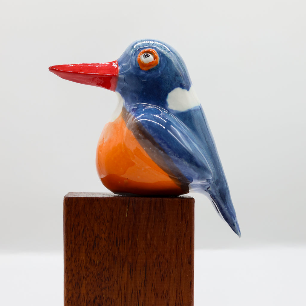 Malachite Kingfisher