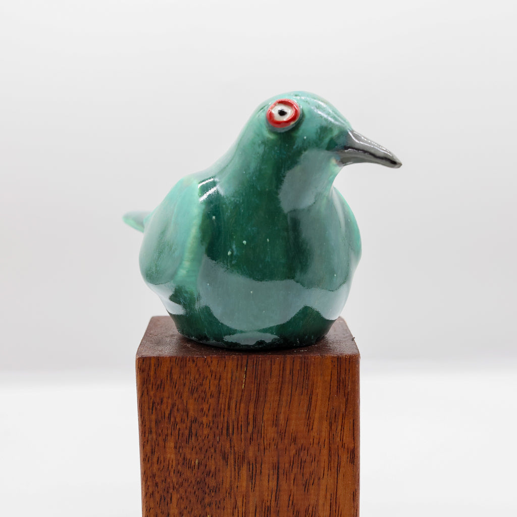 Korimako | Bellbird