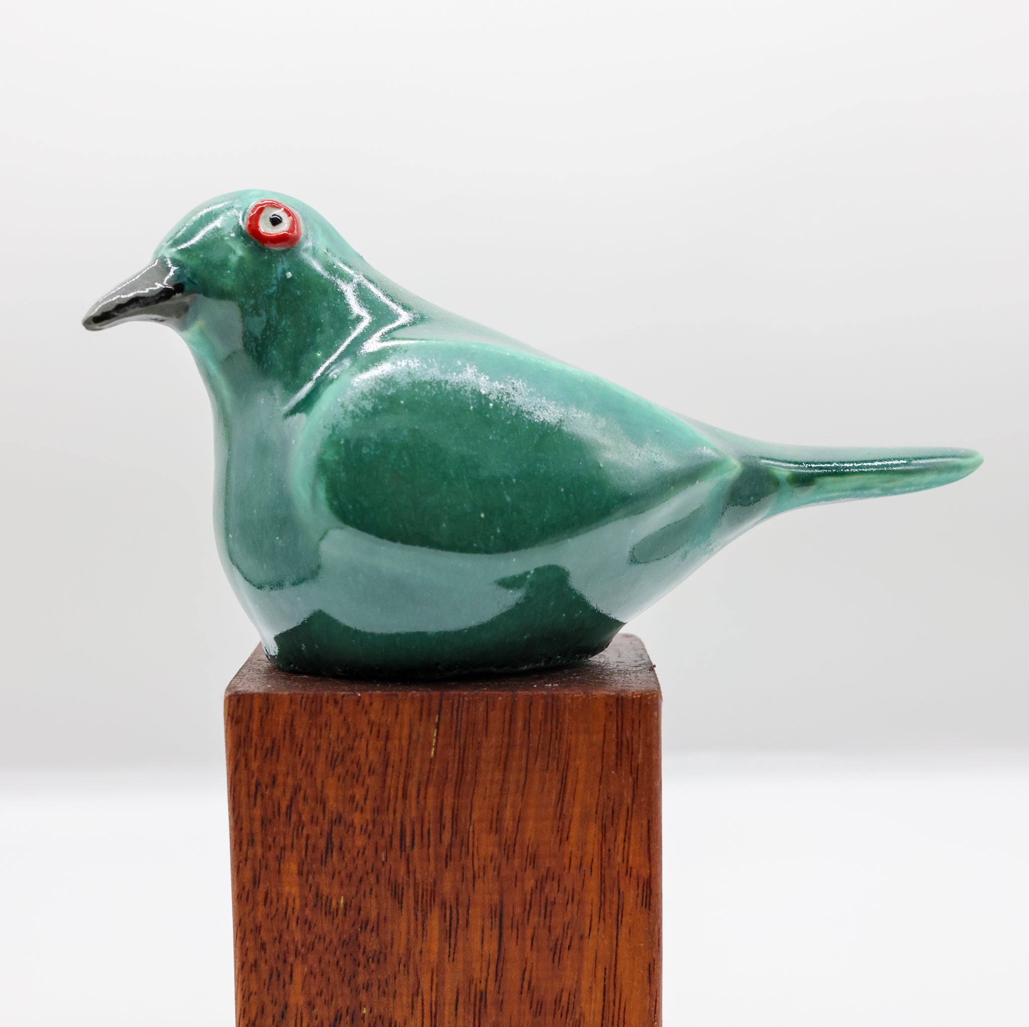 Korimako | Bellbird