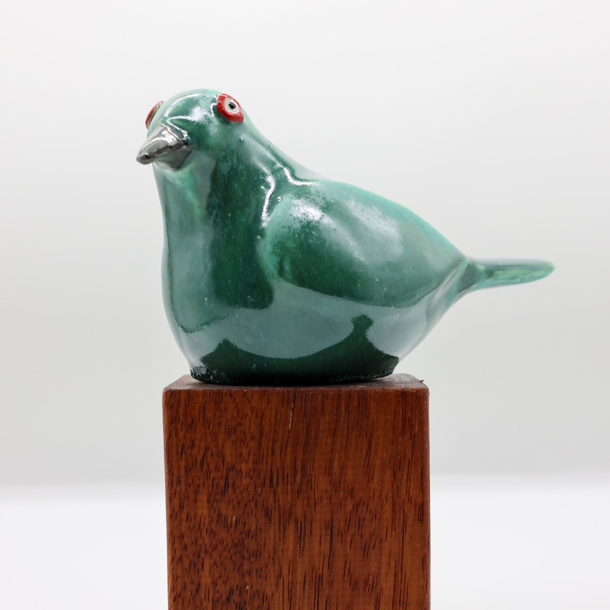 Korimako | Bellbird
