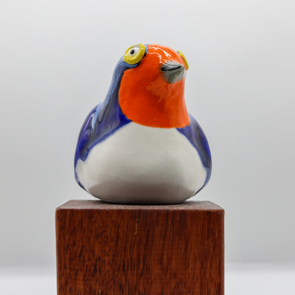 Warou | Welcome Swallow