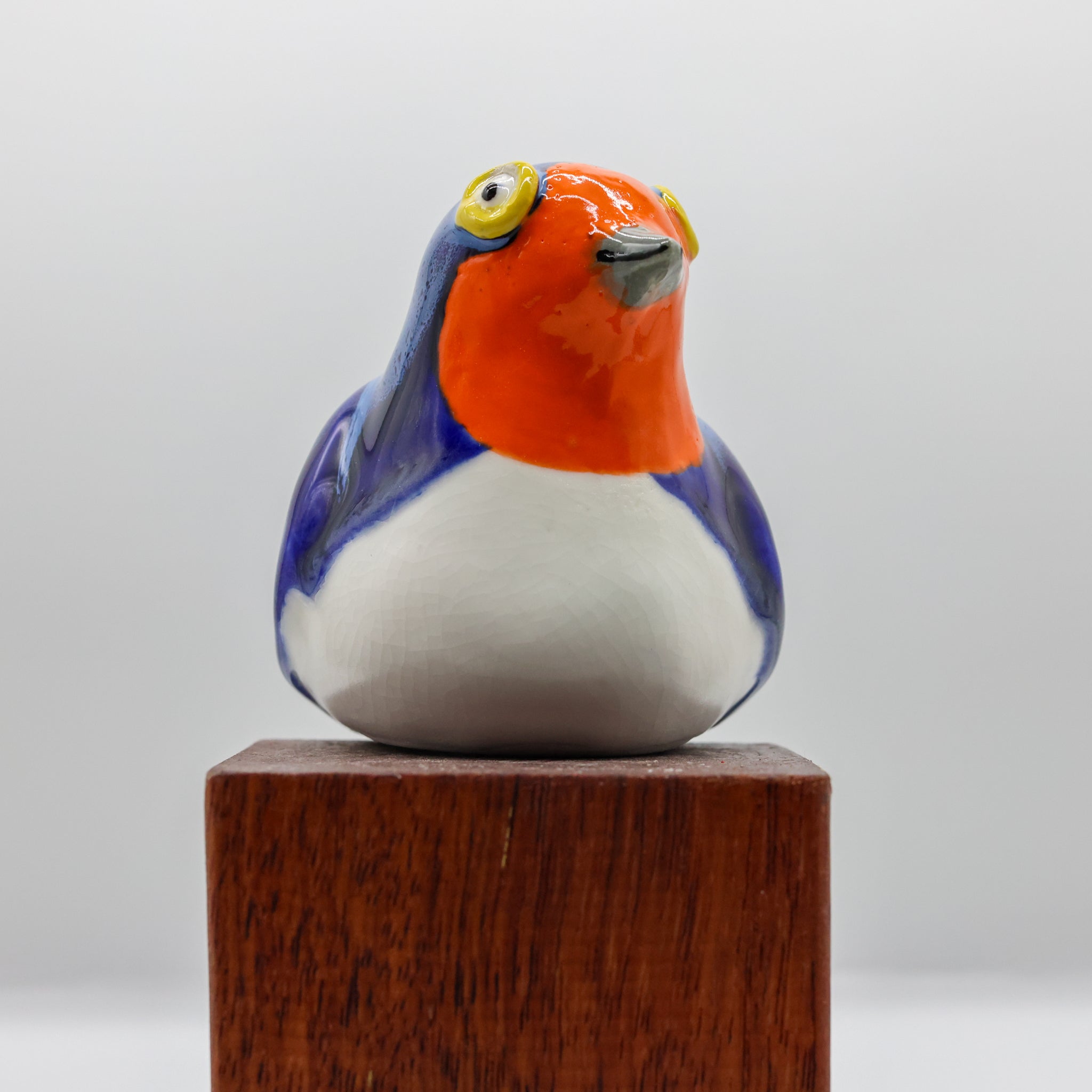 Warou | Welcome Swallow