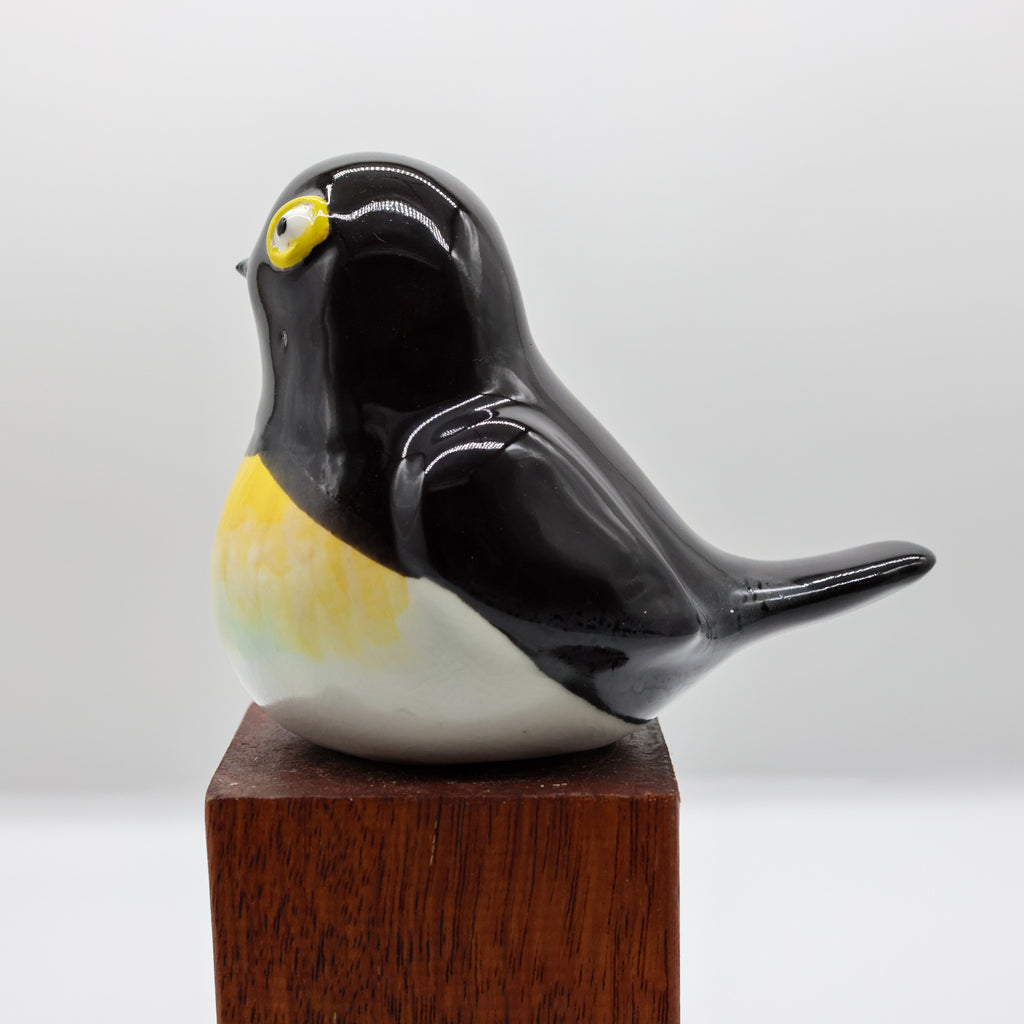 Miromiro | Tomtit