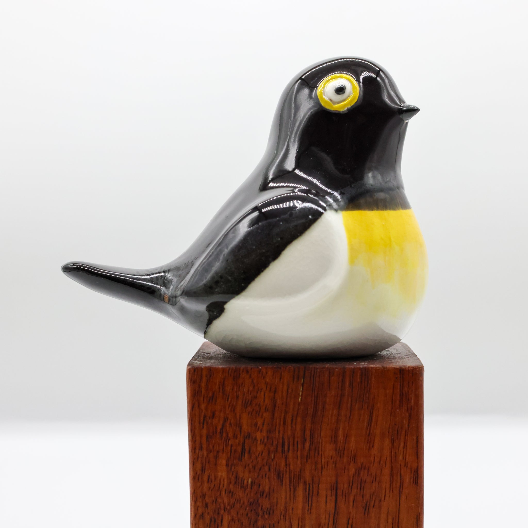 Miromiro | Tomtit