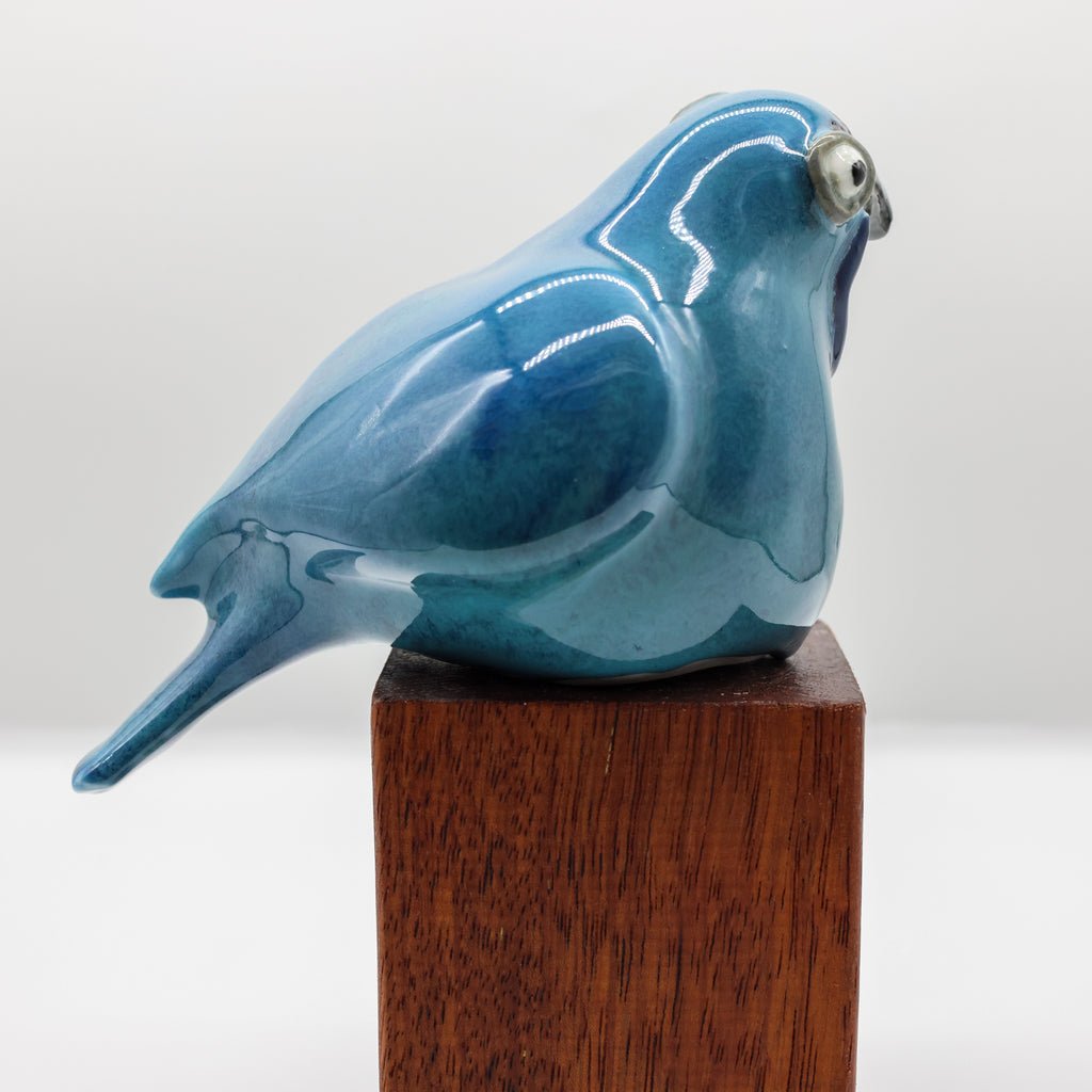 Kokako