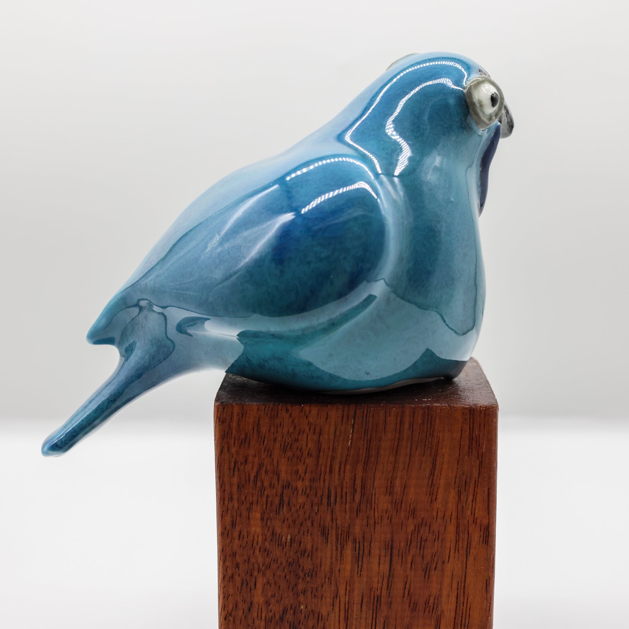Kokako