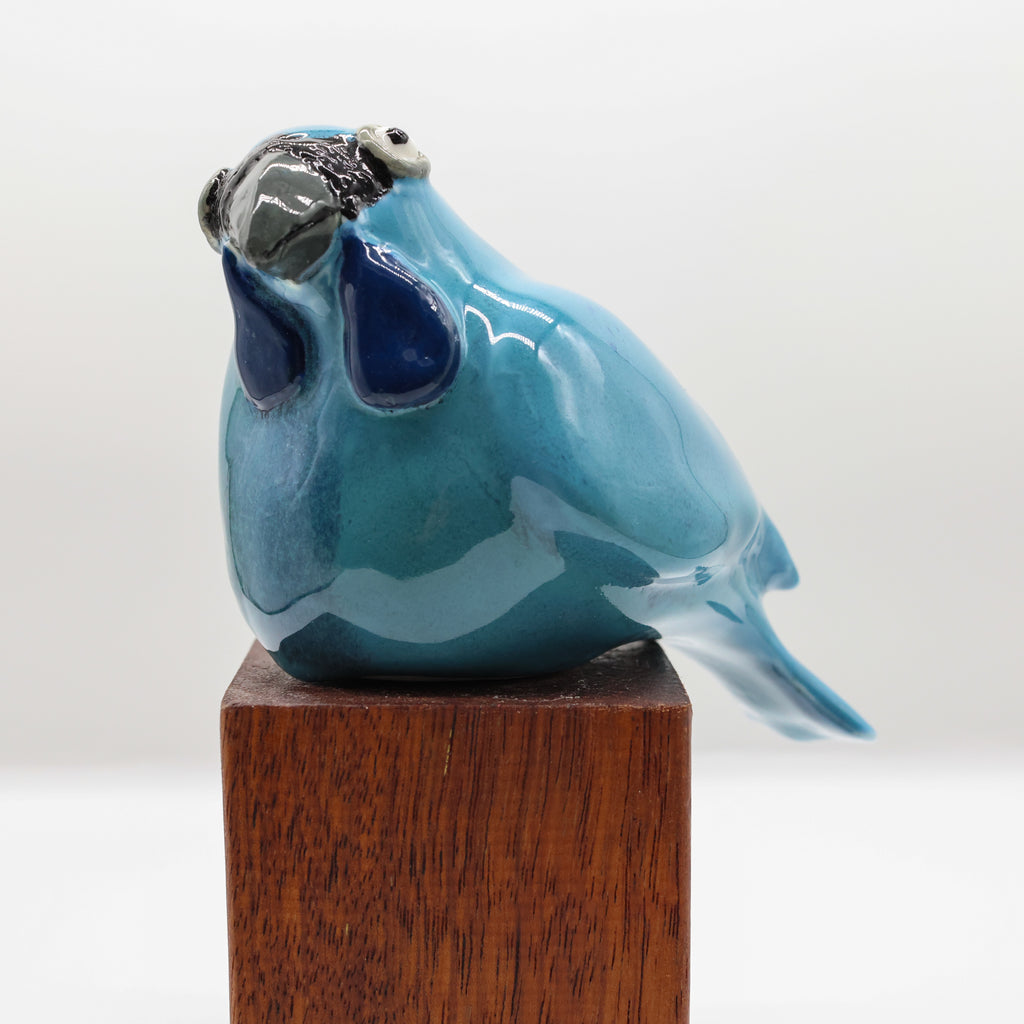 Kokako