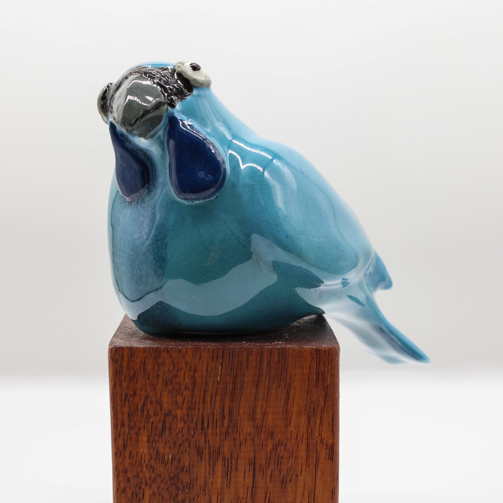 Kokako