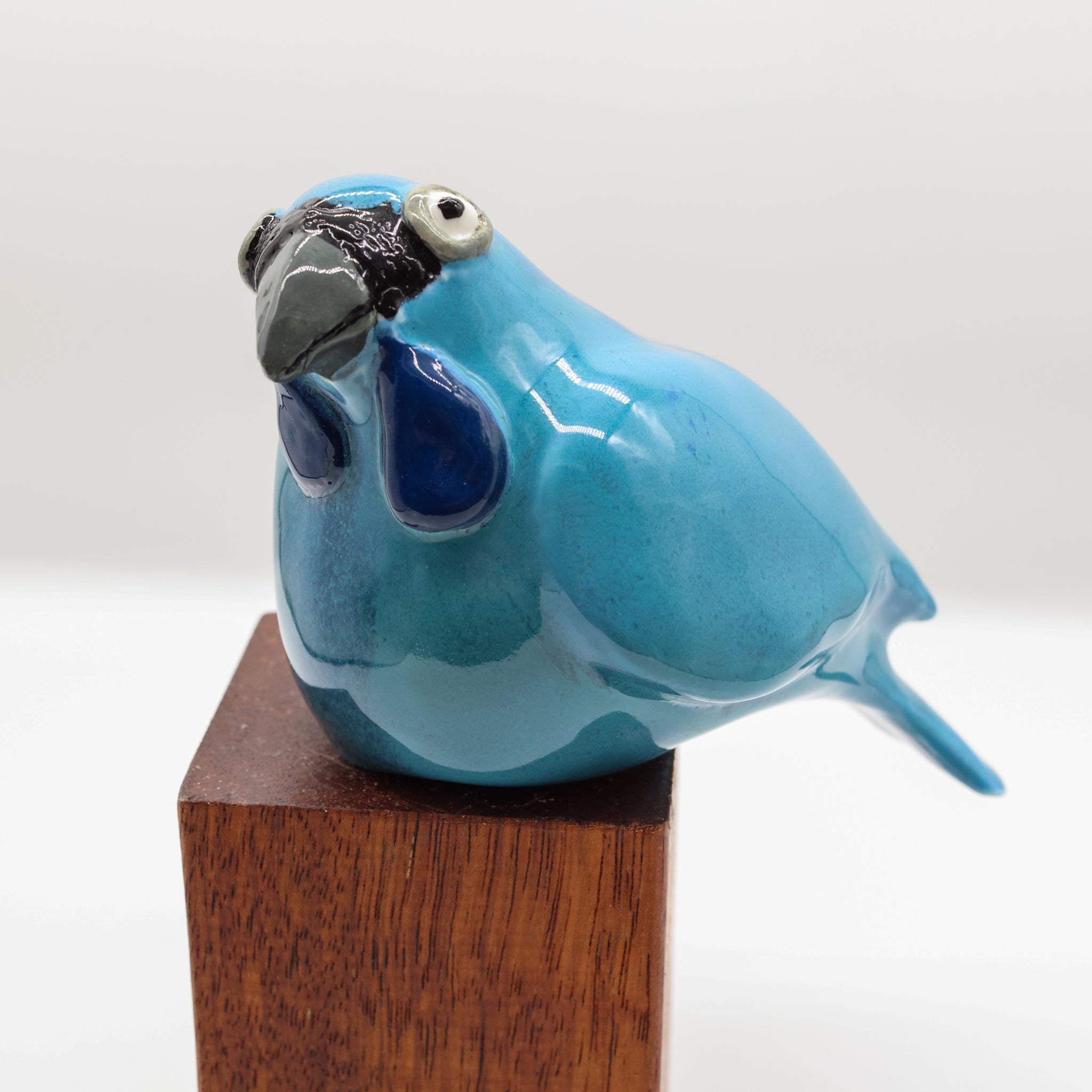 Kokako