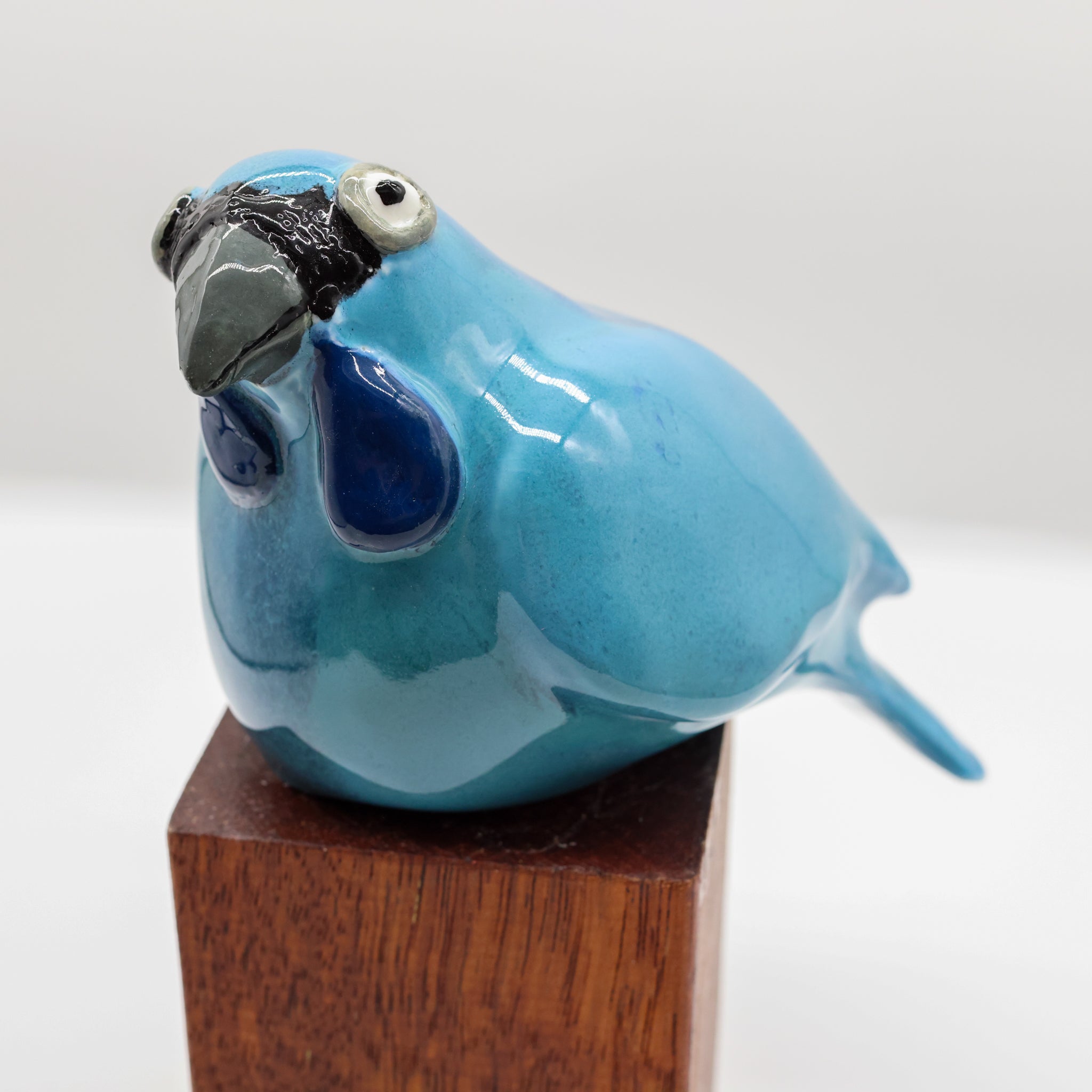 Kokako