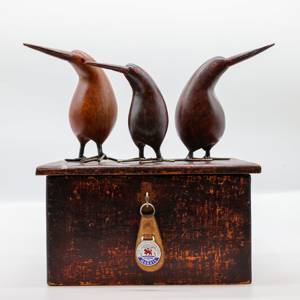 Stone Kiwi