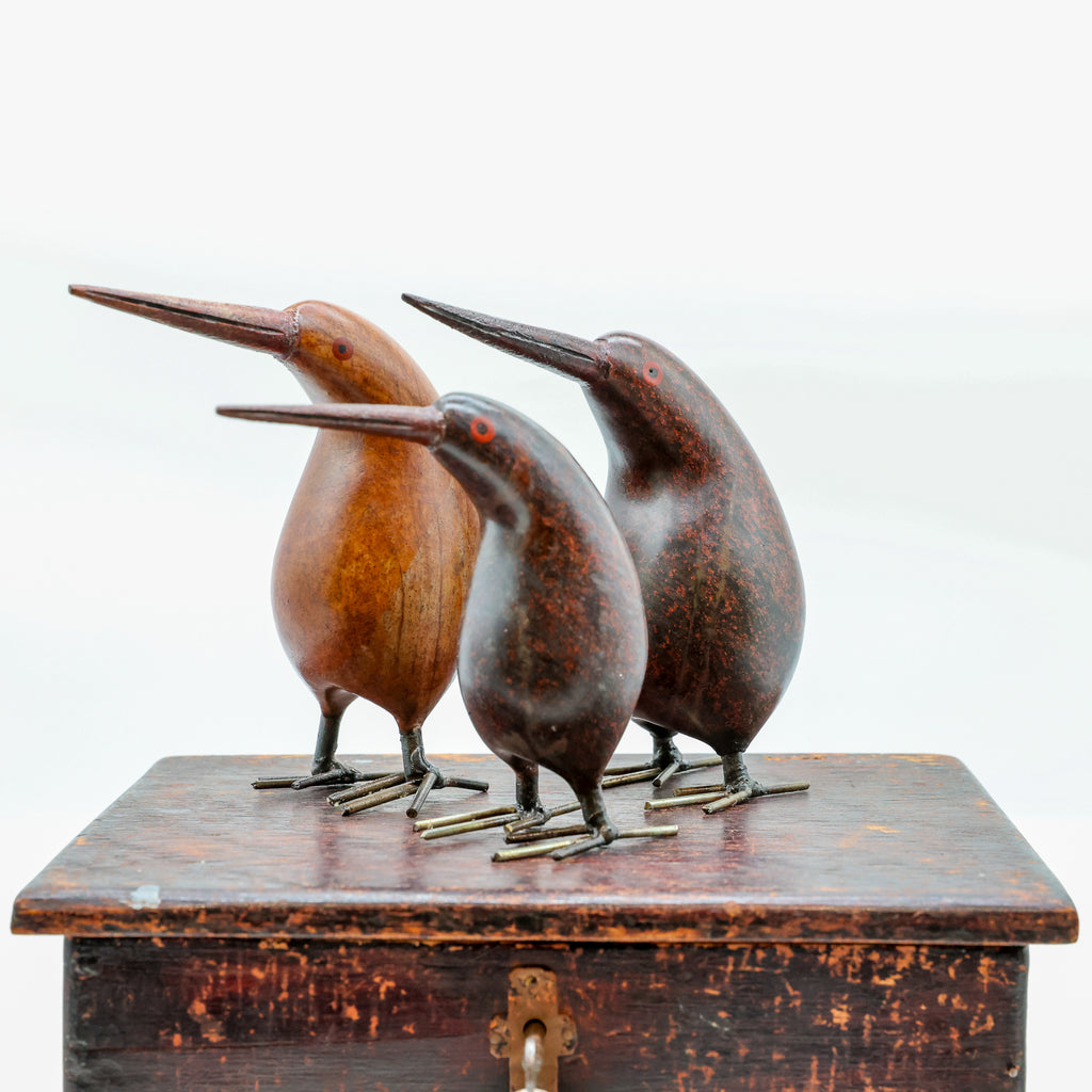 Stone Kiwi