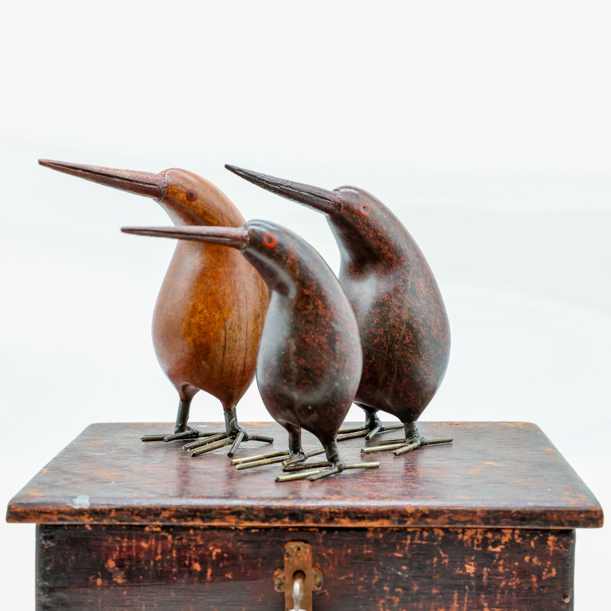 Stone Kiwi