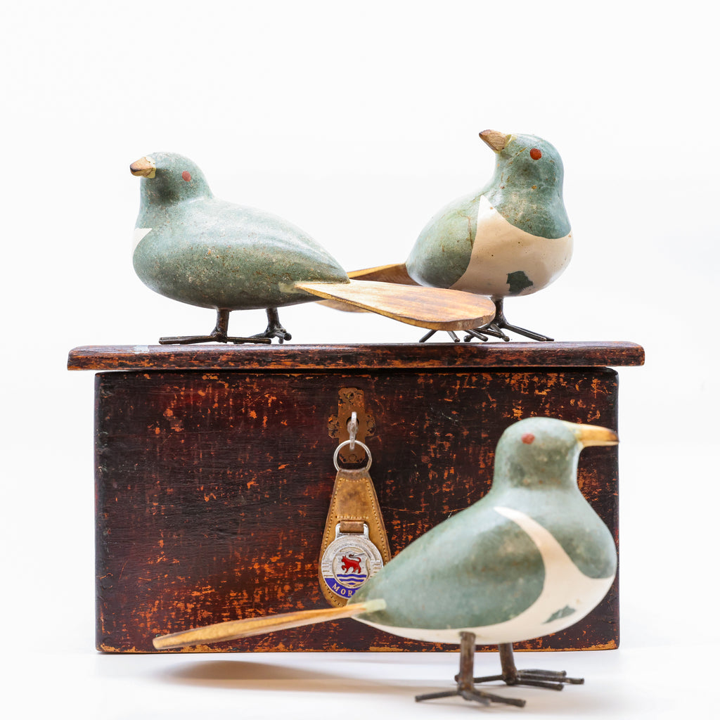 Stone Kererū