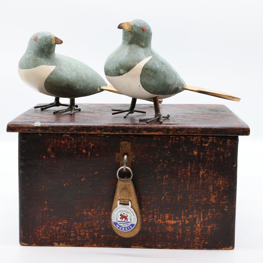 Stone Kererū