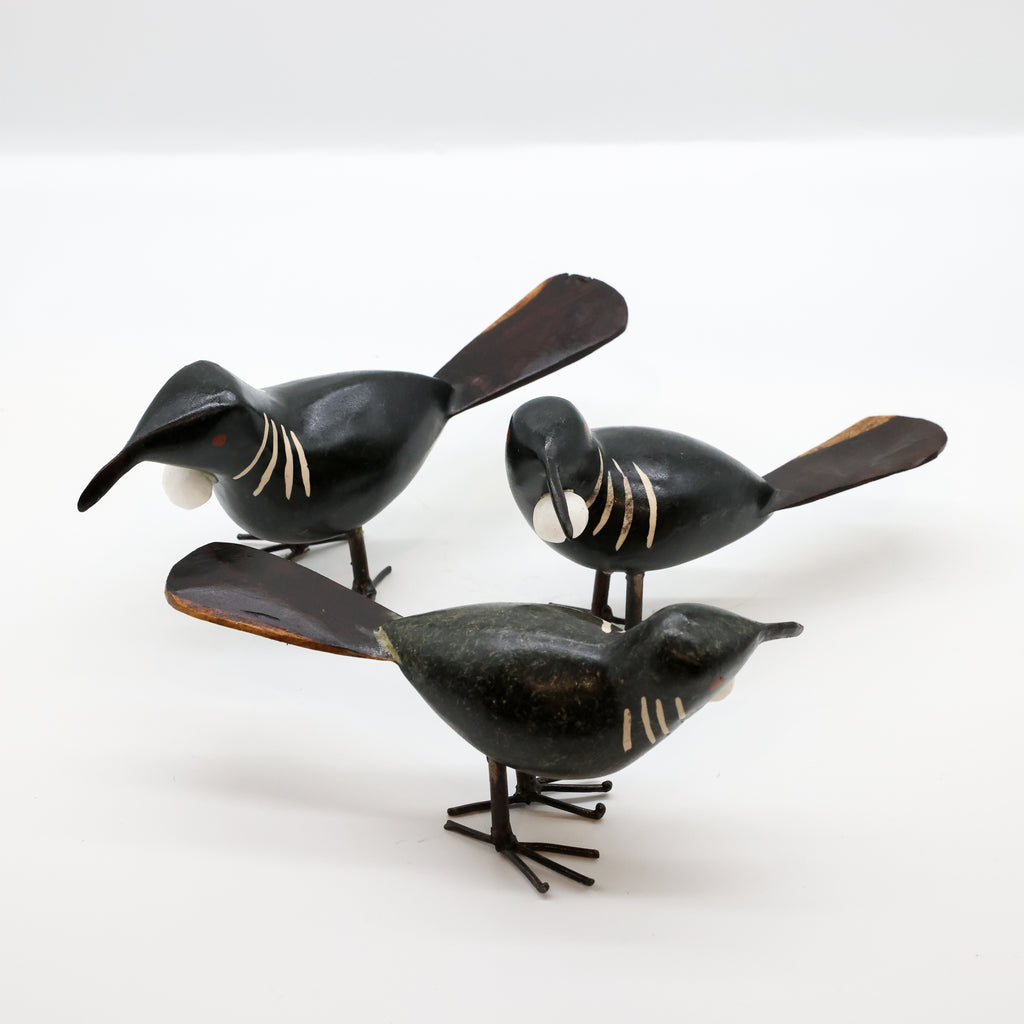 Stone Tūī