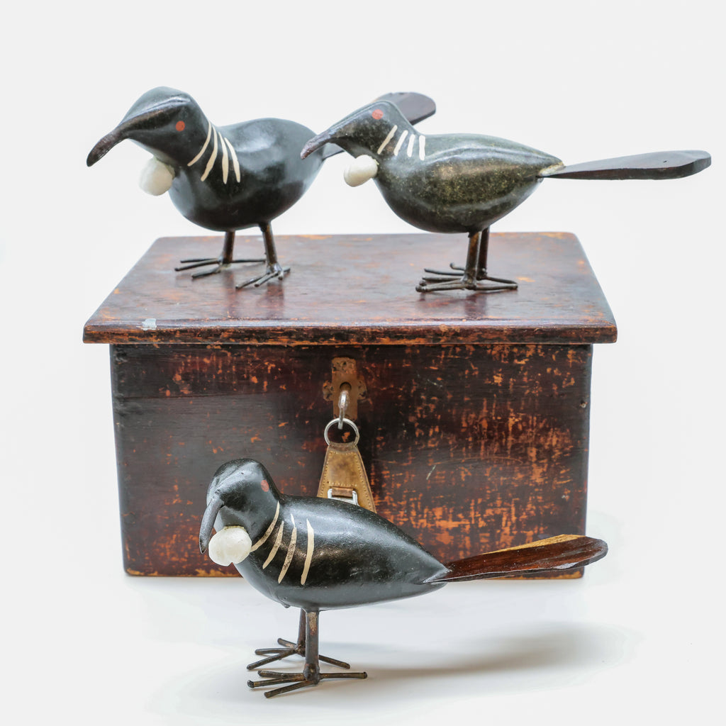 Stone Tūī