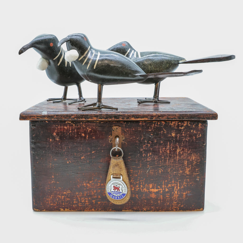 Stone Tūī